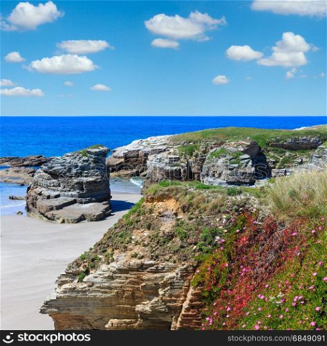 Summer blossoming Atlantic beach Illas (Galicia, Spain) with white sand and pink flowers in front. Blue sky with clouds.