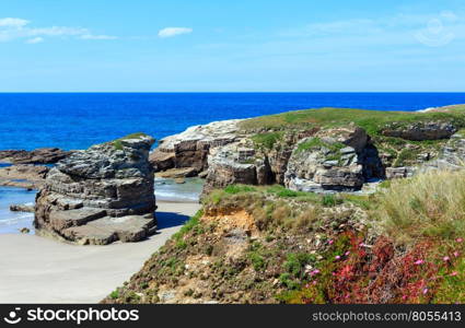 Summer blossoming Atlantic beach Islas (Galicia, Spain) with white sand and pink flowers in front.