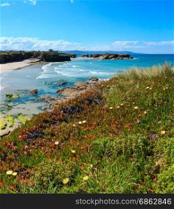 Summer blossoming Atlantic coast and sandy beach Los Castros (Galicia, Spain). Two shots stitch image.