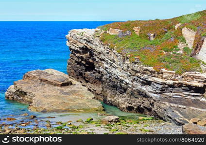 Summer blossoming Atlantic coast landscape with pink flowers (Islas beach, Spain).