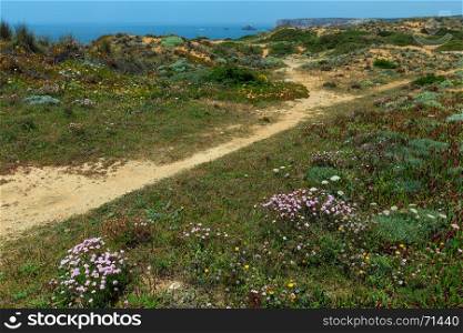 Summer blossoming Atlantic coast view, Aljezur, Algarve west, Costa Vicentina, Portugal.
