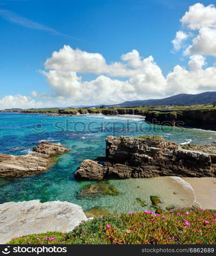 Summer blossoming Atlantic coastline landscape with pink flowers and three beaches (Spain). Picturesque blue sky with clouds.