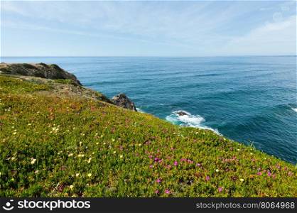 Summer blossoming Atlantic ocean coast scenery (cape Ponta Da Arrifana, Aljezur, Algarve, Portugal).