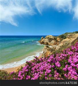 Summer blossoming Atlantic rocky coast view with purple flowers and narrow sandy beach (Albufeira outskirts, Algarve, Portugal).