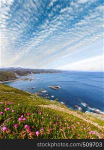 Summer blossoming Cape Vidio landscape, Asturian coast, Cudillero, Spain