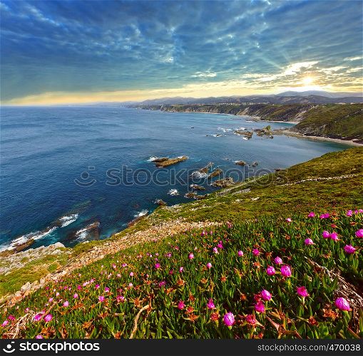Summer blossoming Cape Vidio sunset landscape, Asturian coast, Cudillero, Spain