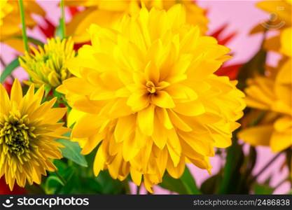 Summer bouquet yellow and red flowers on a bright background. Chrysanthemums and dahlias close up.. Summer bouquet yellow and red flowers on bright background. Chrysanthemums and dahlias close up.