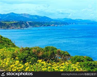 Summer Cape Vidio coastline landscape with yellow flowers in front (Asturias, Cudillero, Spain). Two shots stitch image.