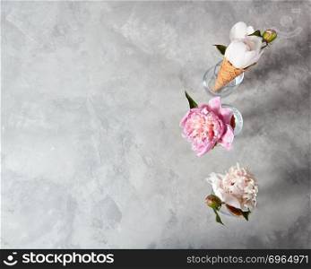 Summer charming flowers peony in a wafer cups at glasses on a gray background with place under text. Summer concept.. Blooming pions in a wafer cones and glass vases on a gray background, place for text.