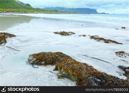 Summer cloudy view of the beach with white sand and alga on stones in Ramberg (Norway, Lofoten).