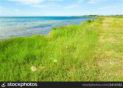 Summer coastline (Skadovsk town environs, Crimea, Ukraine ).