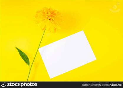 Summer concept. Blank greeting card and yellow flower on a bright background. Trendy minimalism, copy space. Summer concept. Blank greeting card and yellow flower on bright background. Trendy minimalism.