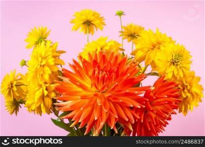 Summer concept. Bouquet of fresh yellow chrysanthemums and red dahlias on a pink background. Flowers as a gift for the holiday.. Summer concept. Bouquet of fresh yellow chrysanthemums and red dahlias on pink background. Flowers as a gift for the holiday.