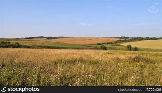 Summer country landscape, fields and meadows