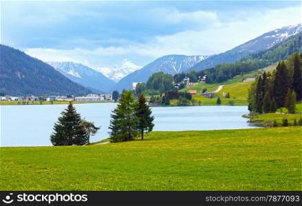 Summer country landscape with Davos Lake and dandelion meadow (Switzerland).