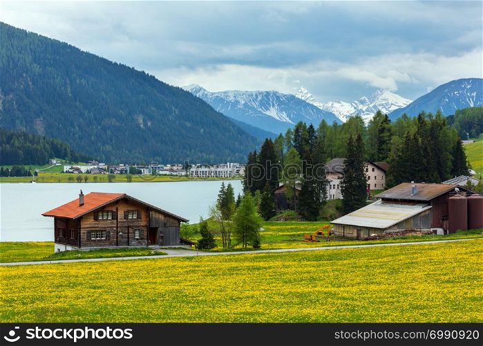 Summer country landscape with Davos Lake, town outskirts and dandelion meadow (Switzerland).