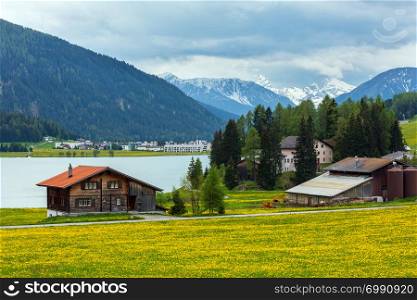 Summer country landscape with Davos Lake, town outskirts and dandelion meadow (Switzerland).
