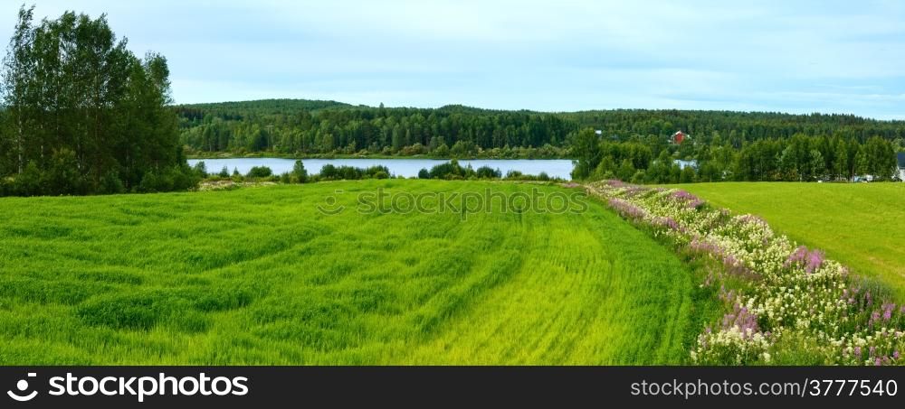 Summer country landscape with flowers on field and river (Sweden).