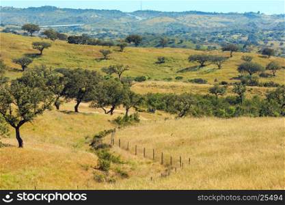 Summer country landscape with olive trees on slope. Potugal (between Lisboa and Algarve).