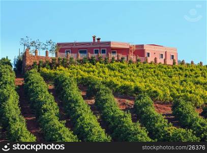 Summer country landscape with trees and bushes on slope and house on top. Potugal (between Lisboa and Algarve).
