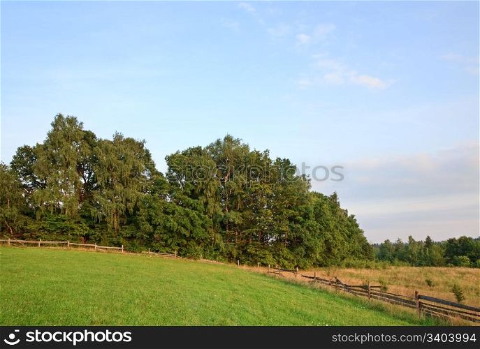 summer countryside landscape with wooden fence and forest