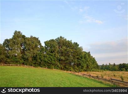 summer countryside landscape with wooden fence and forest