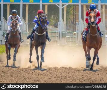 Summer day at the hippodrome. The three horsemen begin to race. Starting gate and dust from under the hooves. Three Riders After the Start of the Horse Race