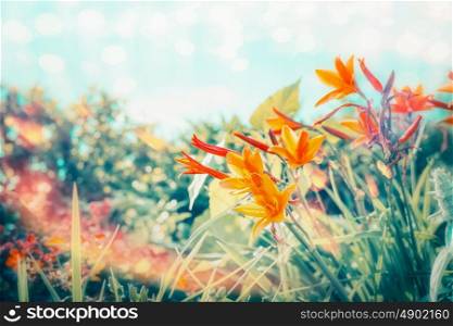 Summer day in flowers garden or park with Lily flowers at sky background with sunlight and bokeh lighting, outdoor nature