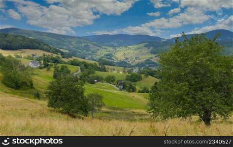summer day in the vosges mountains in france
