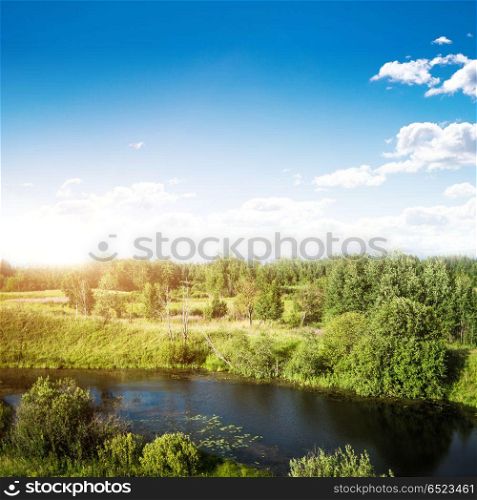 Summer day landscape. Summer day landscape. Cloudy sky and trees. Summer day landscape