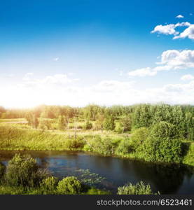 Summer day landscape. Summer day landscape. Cloudy sky and trees. Summer day landscape