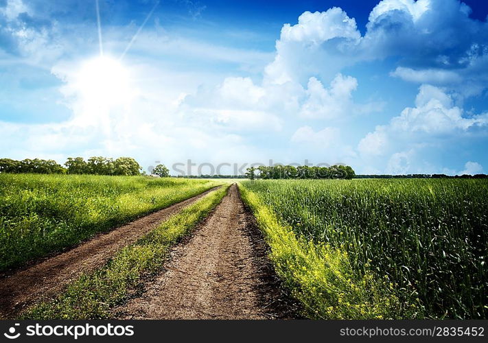 Summer day on the meadow, rural landscape