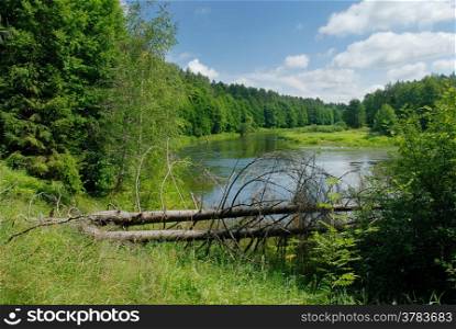 Summer day on the river Viliya, Belarus