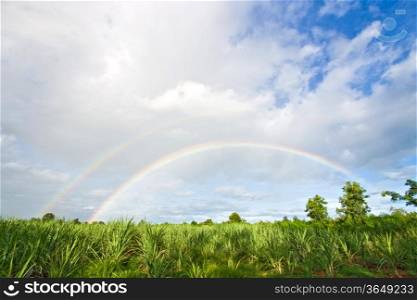 summer daylight landscape with meadow, white clouds in the sky and a double rainbow