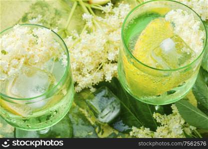 Summer drink from elderberry and lemon inflorescences.Cooling drink.Floral champagne.. Champagne from elderberry flowers
