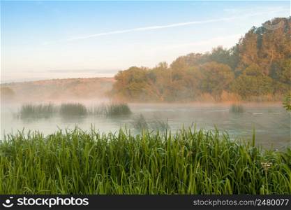 Summer. Early morning. River and forest on the shore. Mist over water. Morning Mist over the River