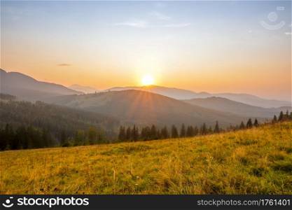 Summer evening in the wooded mountains. Grassy glade. The sun sets in a cloudless sky beyond the peaks. Sun Sets over the Summer Mountains