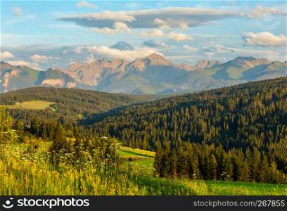 Summer evening mountain village outskirts with blossoming field and Tatra range behind (Gliczarow Gorny, Poland).
