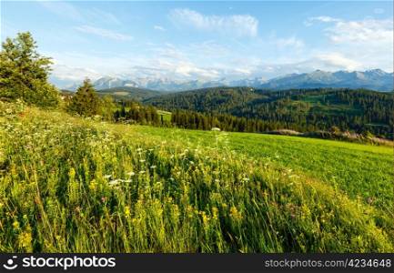 Summer evening mountain village outskirts with blossoming field and Tatra range behind(Gliczarow Gorny, Poland)