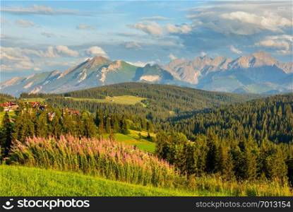 Summer evening mountain village outskirts with pink flowers in front and Tatra range behind  Gliczarow Gorny, Poland .