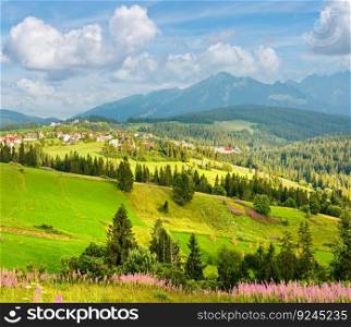 Summer evening mountain village outskirts with pink flowers in front and Tatra range behind(Gliczarow Gorny, Poland)
