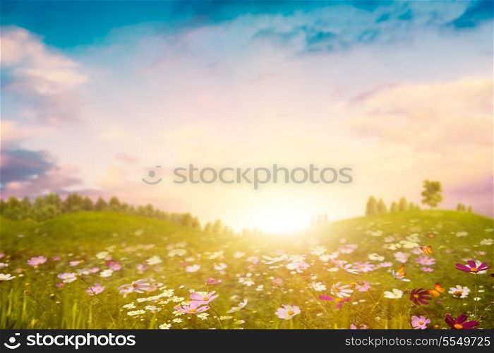 Summer evening on the meadow. Abstract environmental backgrounds