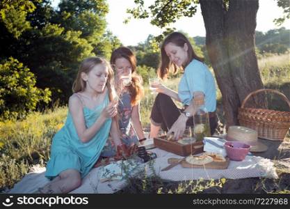 Summer - family on a picnic in a meadow in the forest