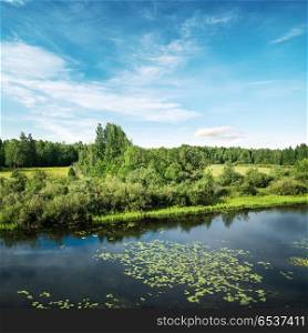 Summer field and forest landscape. Summer field and forest landscape. Clear outdoor. Summer field and forest landscape