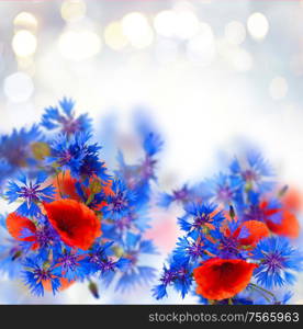 summer field flowers bouquet isolated over white background. poppy and cornflower bouquet