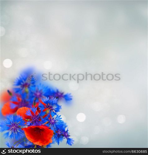 summer field flowers bouquet on gray bokeh background with copy space. poppy and cornflower bouquet
