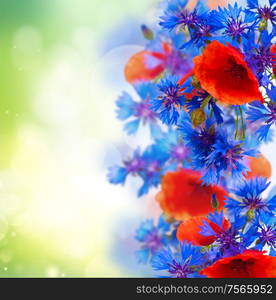 summer field flowers on green meadow bokeh background. poppy and cornflower bouquet