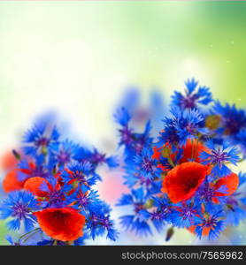 summer field flowers on green meadow garden bokeh background. poppy and cornflower bouquet