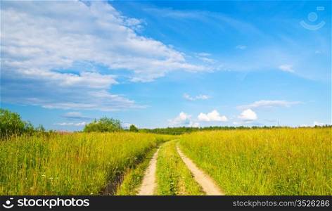 summer field with vivid yellow grass and road, blue cloudy sky