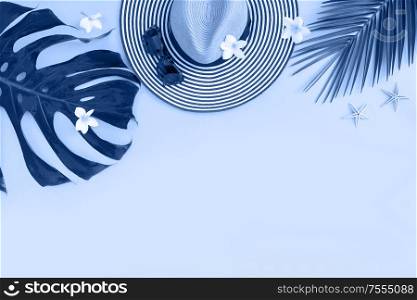 Summer flat lay border with hat and palm leaves in classic blue color with copy space. Summer flat lay scenery
